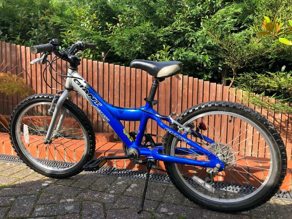 giant mtx 150 20 inch